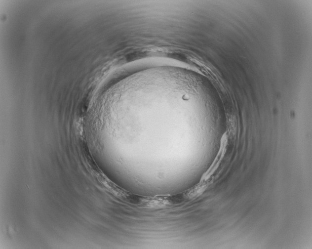 X0000061740621200512302213