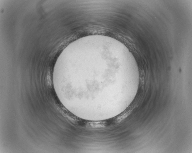 X0000061740622200512302213