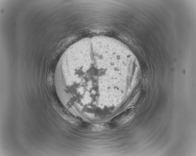 X0000061740623200512302213