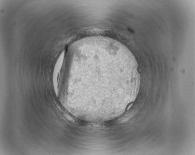 X0000061740624200512302213