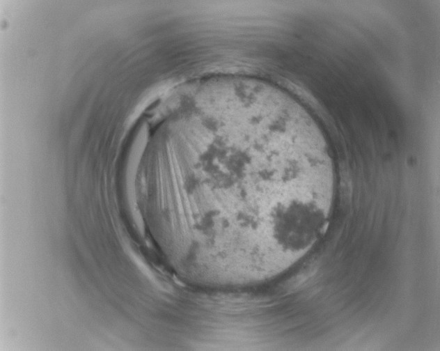 X0000061740626200512302212