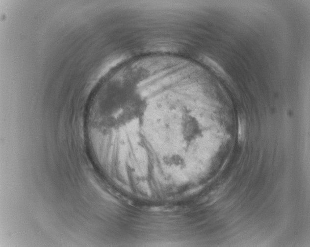 X0000061740627200512302212