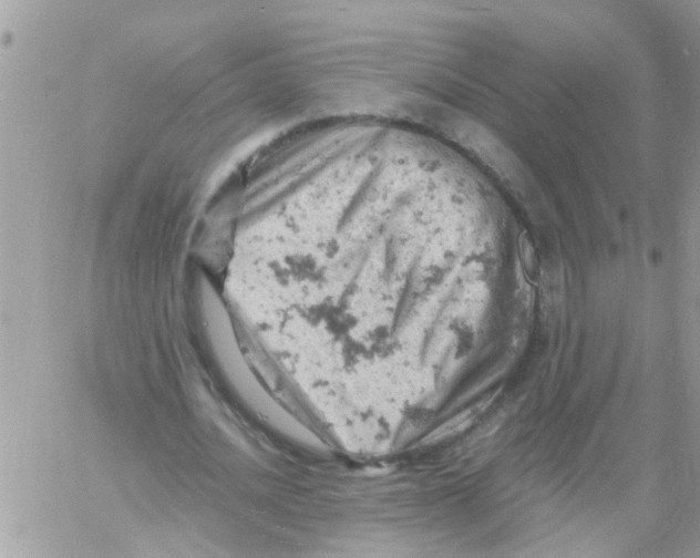 X0000061740628200512302212