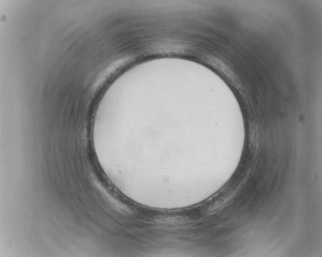 X0000061740629200512302212