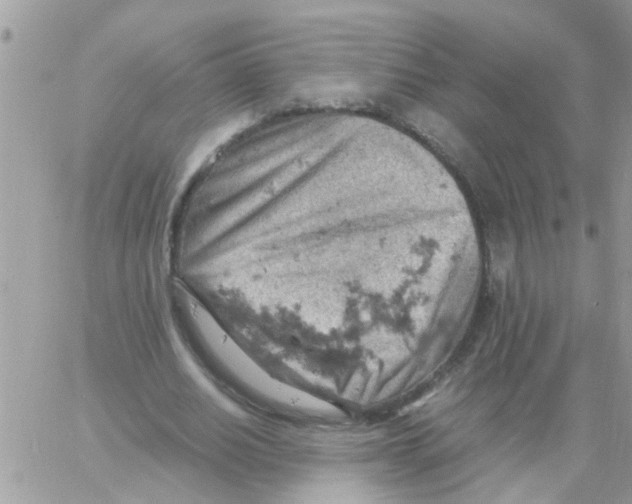 X0000061740630200512302212