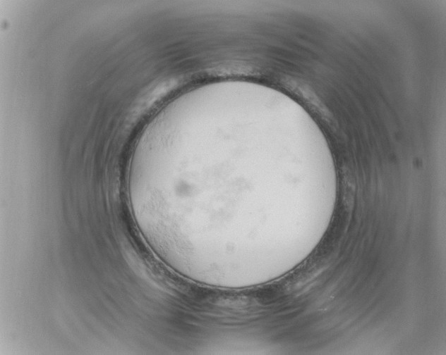 X0000061740631200512302212