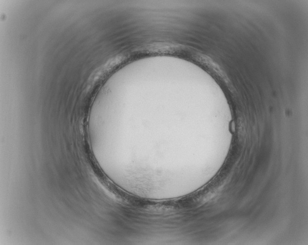 X0000061740633200512302212