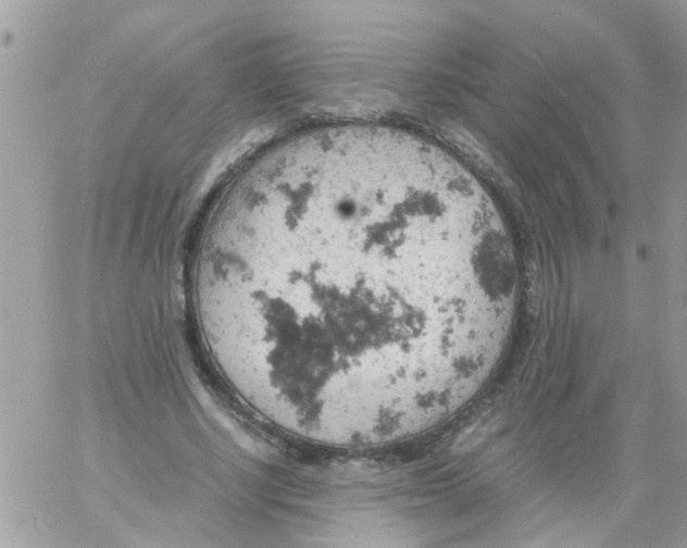 X0000061740634200512302212