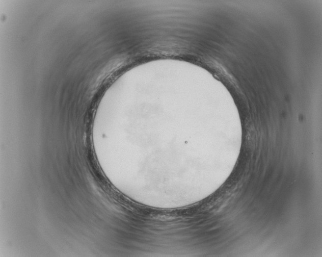 X0000061740635200512302212