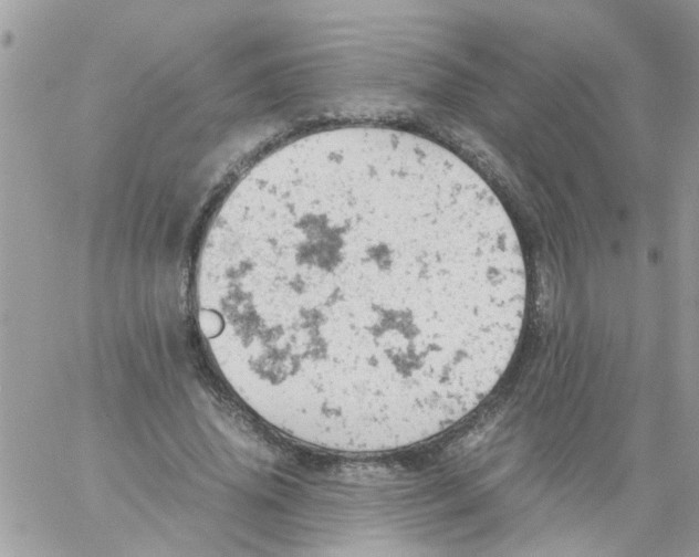 X0000061740636200512302212