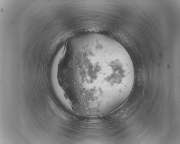 X0000061740639200512302212