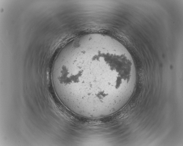 X0000061740642200512302212