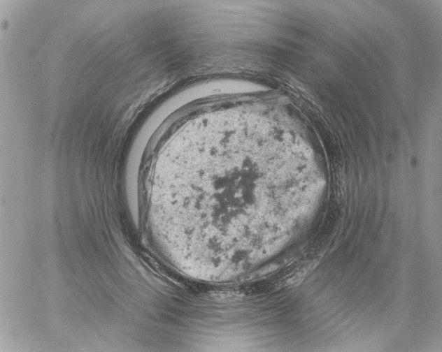 X0000061740644200512302213