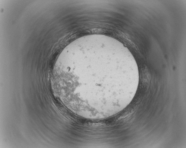 X0000061740645200512302213