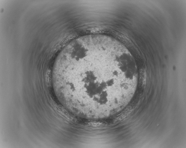 X0000061740650200512302213