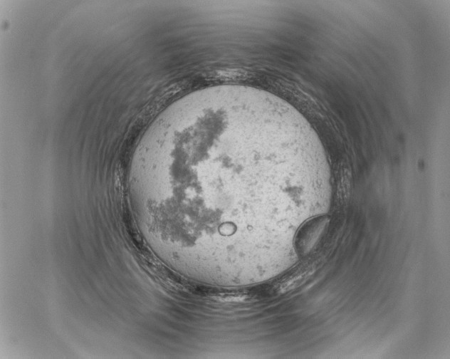 X0000061740651200512302213