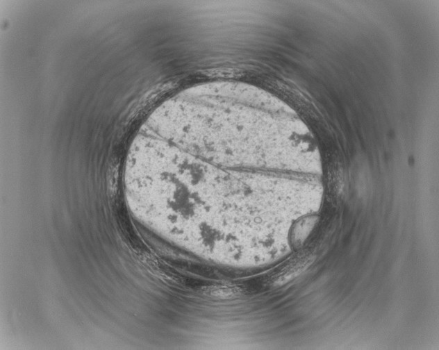 X0000061740652200512302213