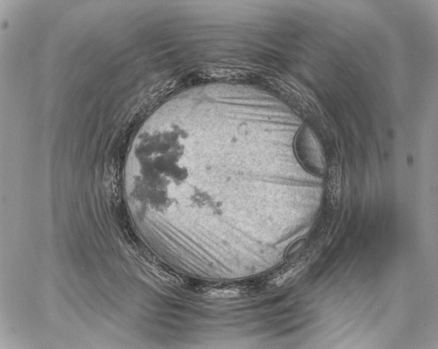 X0000061740653200512302213