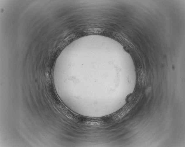 X0000061740655200512302213