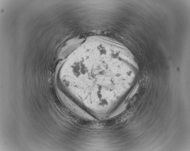 X0000061740656200512302213