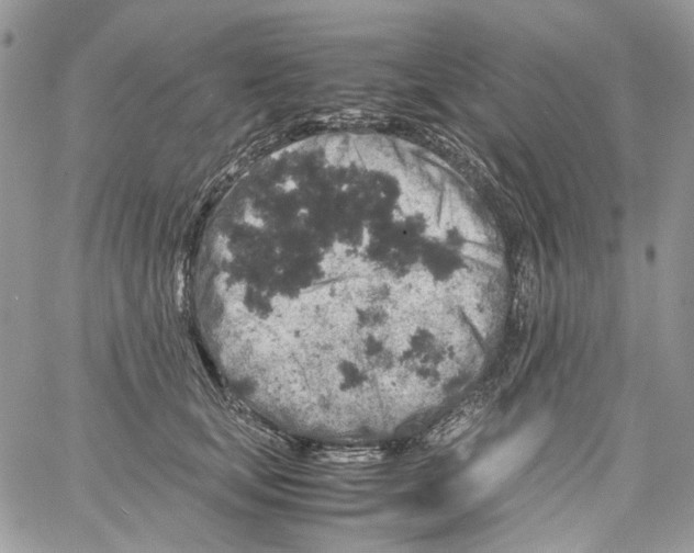 X0000061740659200512302213