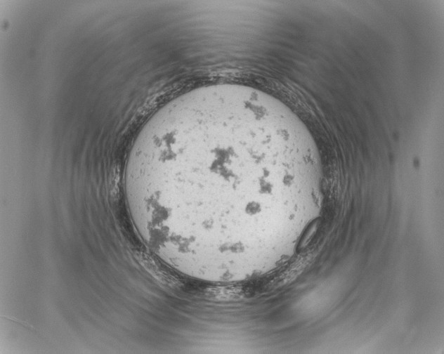 X0000061740660200512302213