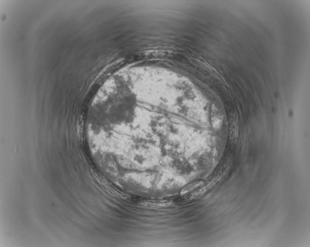 X0000061740661200512302213