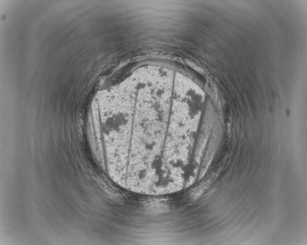 X0000061740664200512302213