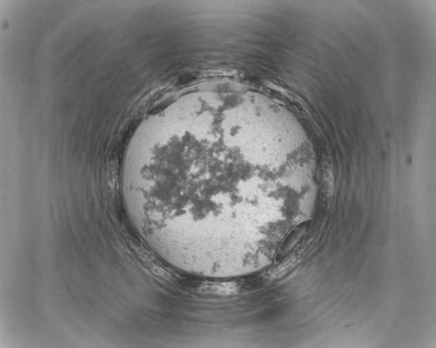 X0000061740665200512302213