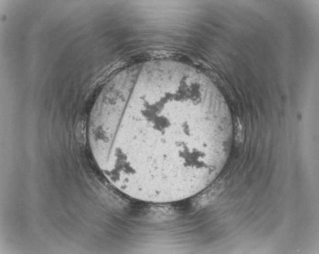 X0000061740666200512302213