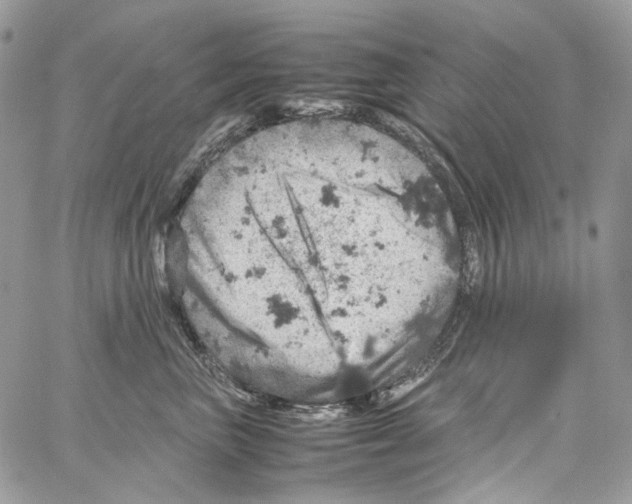 X0000061740667200512302213