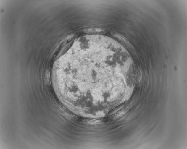 X0000061740669200512302213