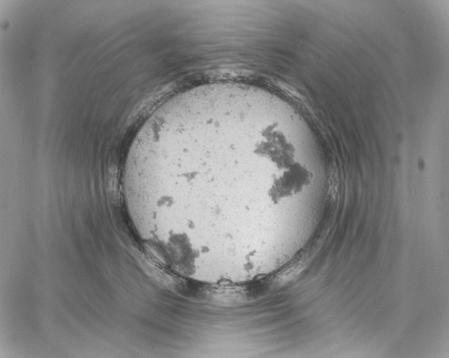 X0000061740670200512302213