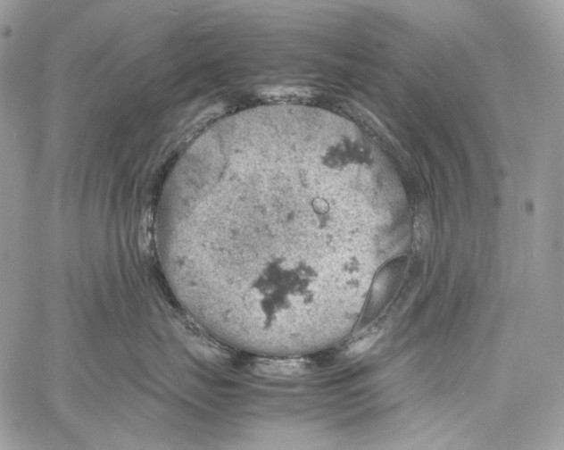 X0000061740671200512302213