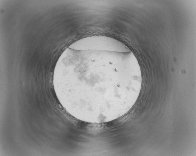 X0000061740672200512302213