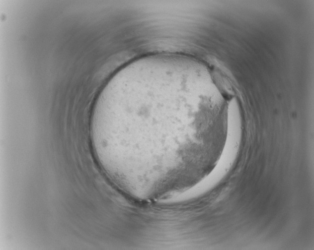 X0000061740673200512302212