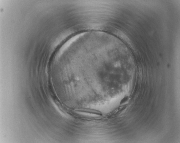 X0000061740674200512302212