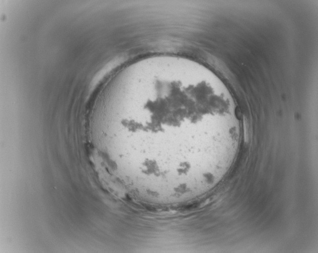 X0000061740675200512302212