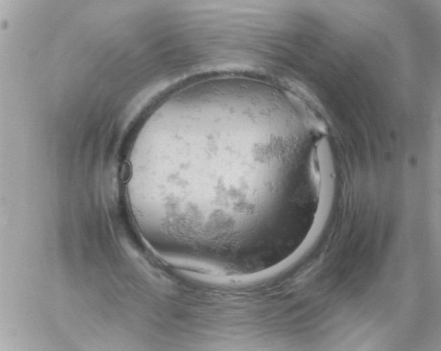 X0000061740676200512302212