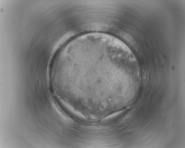 X0000061740678200512302212