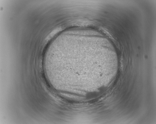 X0000061740679200512302212