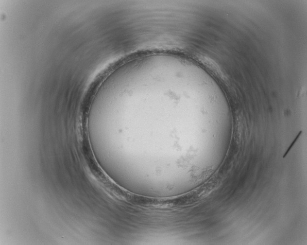 X0000061740680200512302212