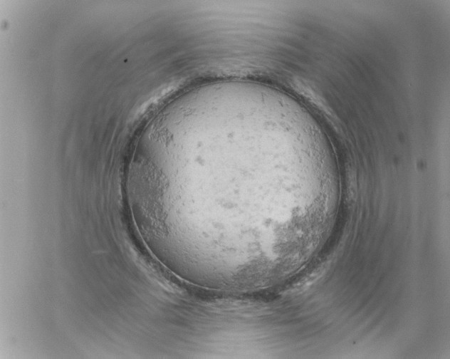 X0000061740681200512302212