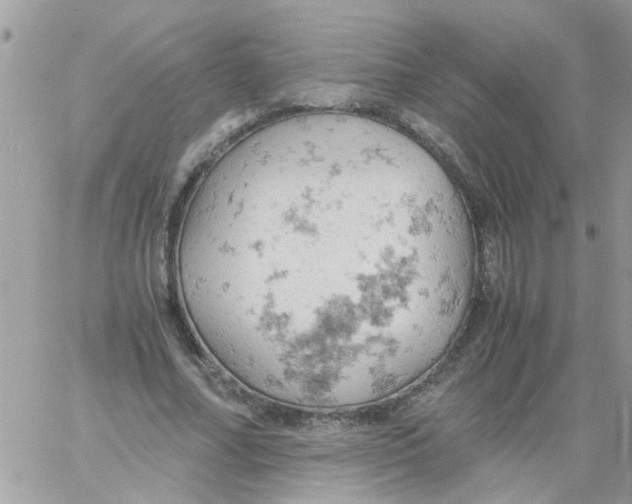 X0000061740682200512302212