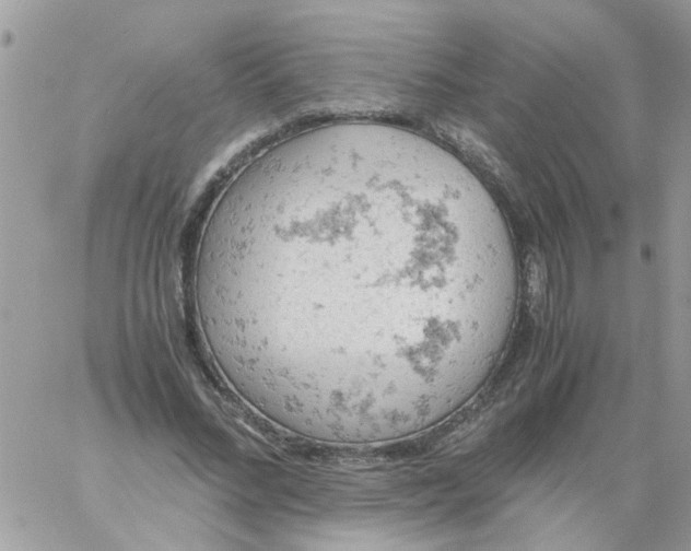 X0000061740684200512302212