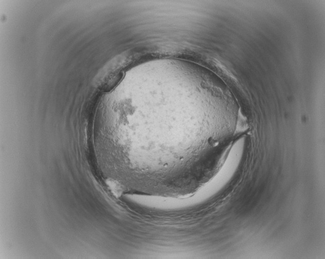 X0000061740685200512302212