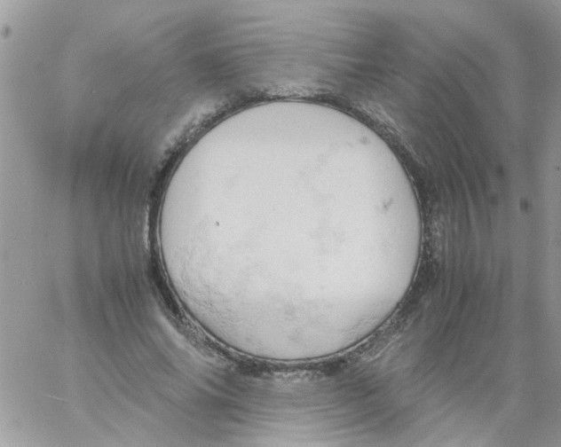 X0000061740686200512302212