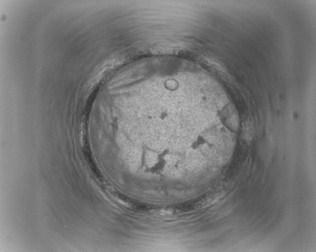 X0000061740687200512302212