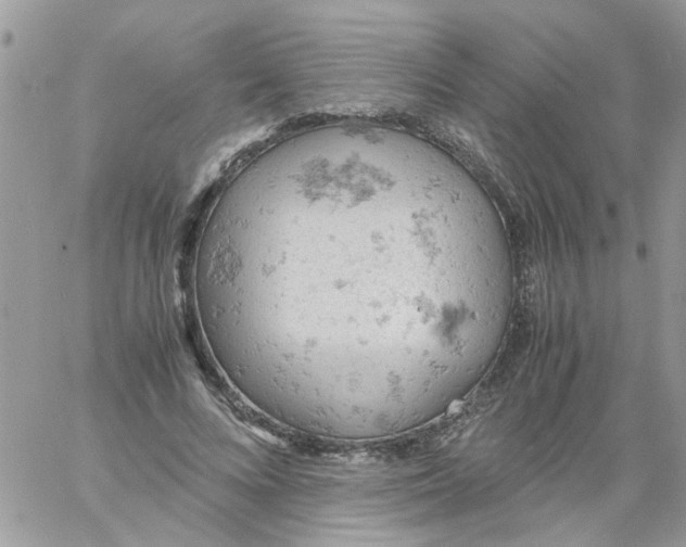 X0000061740688200512302212