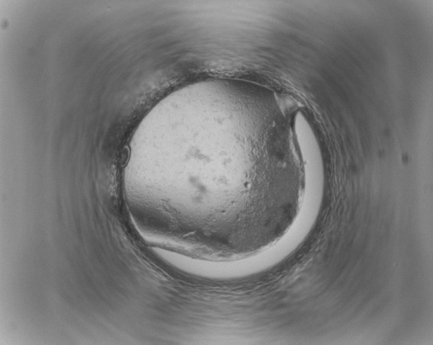 X0000061740689200512302212